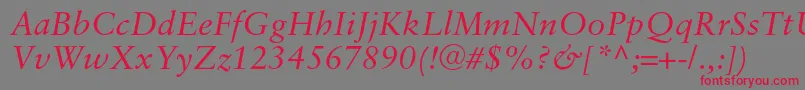 SaboncItalic Font – Red Fonts on Gray Background