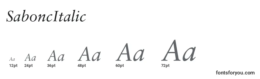 SaboncItalic Font Sizes