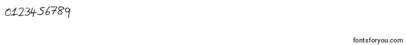 DanielLight Font – Fonts for Numbers and Digits