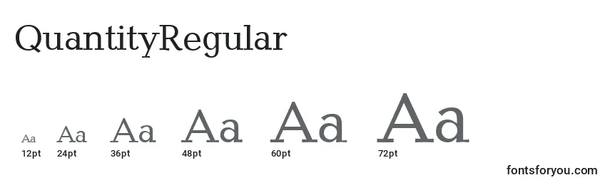 QuantityRegular Font Sizes