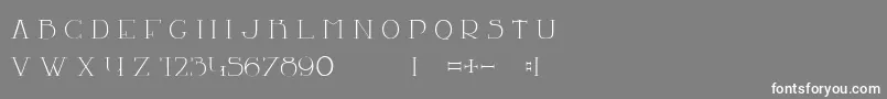 LaChambre77 Font – White Fonts on Gray Background