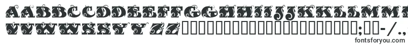 Fantasticmf Font – Times New Roman Fonts