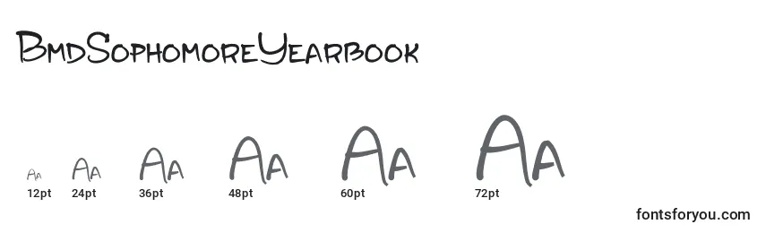 Размеры шрифта BmdSophomoreYearbook