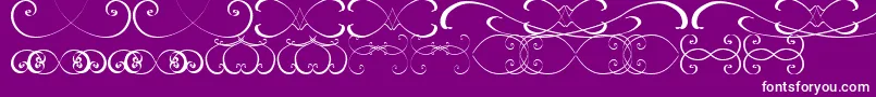 OrnamentsssTfb Font – White Fonts on Purple Background