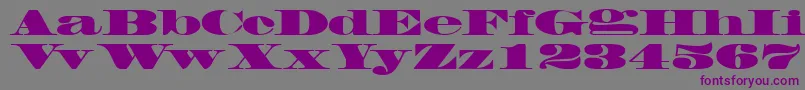 FacadesskBlack Font – Purple Fonts on Gray Background