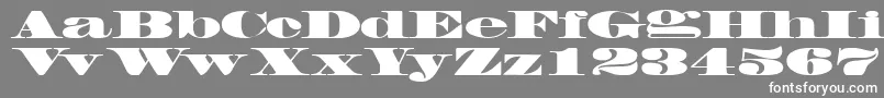 FacadesskBlack Font – White Fonts on Gray Background