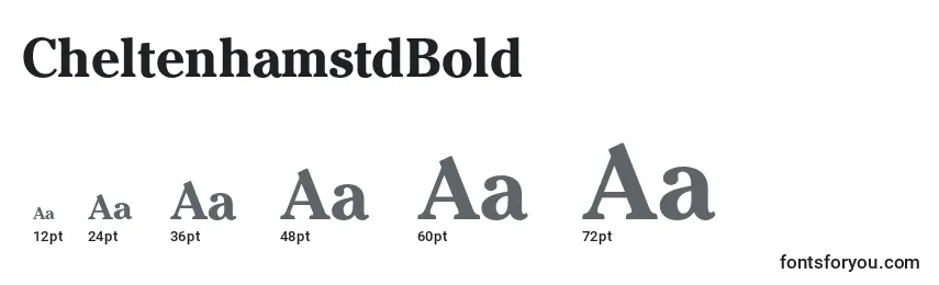 CheltenhamstdBold Font Sizes