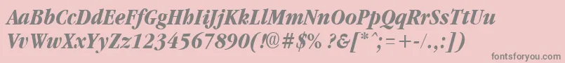 GarnetcondensedBoldItalic Font – Gray Fonts on Pink Background