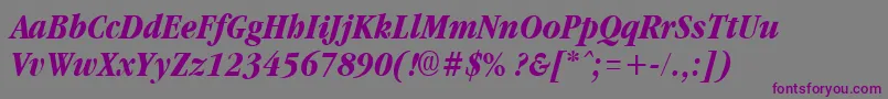 GarnetcondensedBoldItalic Font – Purple Fonts on Gray Background