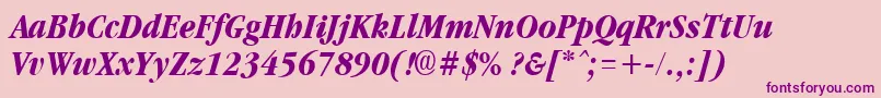 GarnetcondensedBoldItalic Font – Purple Fonts on Pink Background