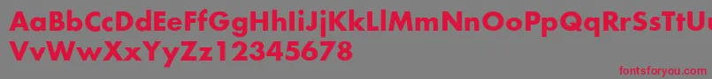FusionBold Font – Red Fonts on Gray Background