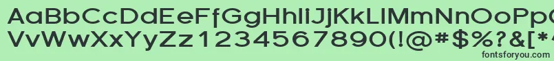 FlorencesansExpBold Font – Black Fonts on Green Background
