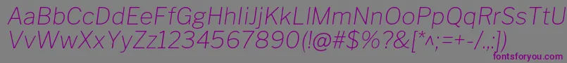 Czcionka LibrefranklinThinitalic – fioletowe czcionki na szarym tle