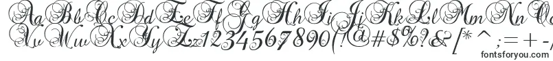 Precious-fontti – Kalligrafiafontit