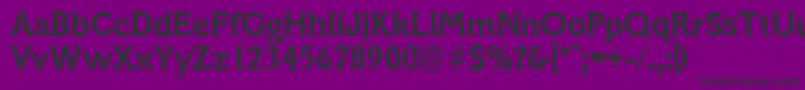 VeracruzserialBold Font – Black Fonts on Purple Background