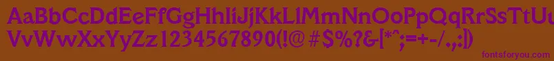 VeracruzserialBold Font – Purple Fonts on Brown Background