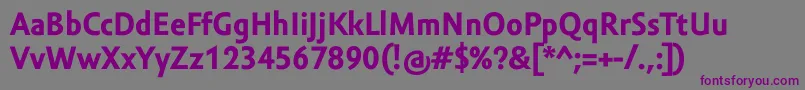 AmorSansTextProBold Font – Purple Fonts on Gray Background