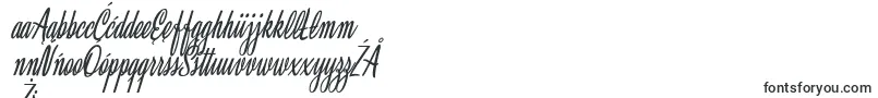 ClariceItalicPersonalUse Font – Polish Fonts