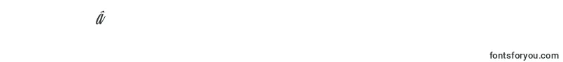 ClariceItalicPersonalUse Font – Hebrew Fonts