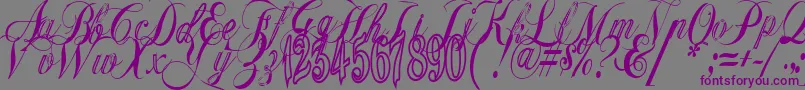 Gyiestold Font – Purple Fonts on Gray Background