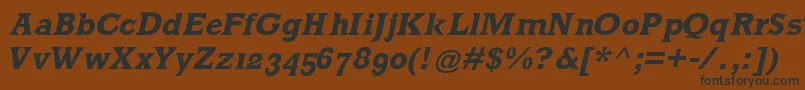 MklatinBoldoblique Font – Black Fonts on Brown Background