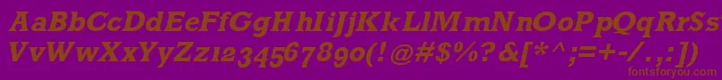 MklatinBoldoblique-Schriftart – Braune Schriften auf violettem Hintergrund