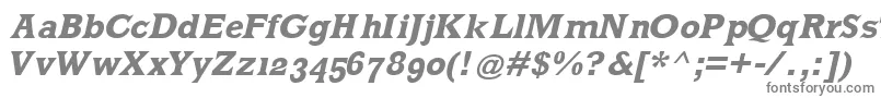 フォントMklatinBoldoblique – 白い背景に灰色の文字
