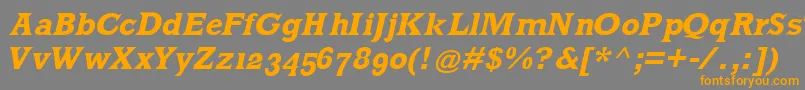 MklatinBoldoblique Font – Orange Fonts on Gray Background