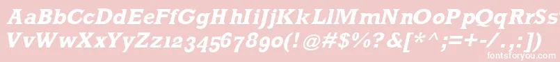 MklatinBoldoblique Font – White Fonts on Pink Background