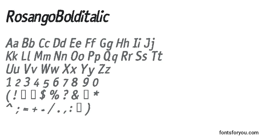Schriftart RosangoBolditalic – Alphabet, Zahlen, spezielle Symbole