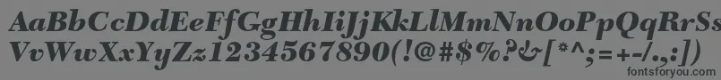 フォントNewcaledonialtstdBlackit – 黒い文字の灰色の背景