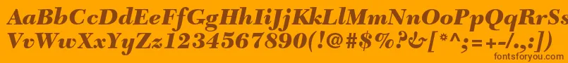 NewcaledonialtstdBlackit Font – Brown Fonts on Orange Background