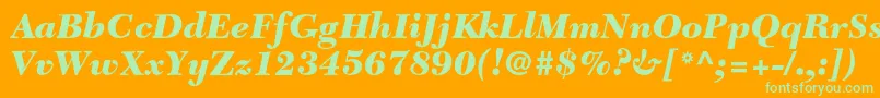 NewcaledonialtstdBlackit Font – Green Fonts on Orange Background