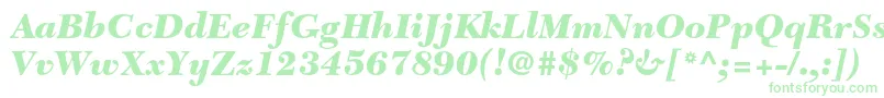 NewcaledonialtstdBlackit Font – Green Fonts
