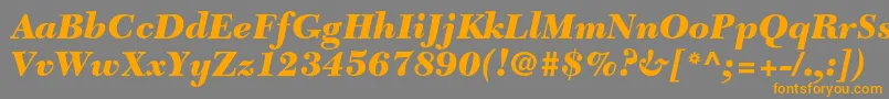 NewcaledonialtstdBlackit Font – Orange Fonts on Gray Background