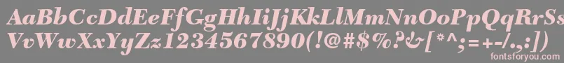 NewcaledonialtstdBlackit Font – Pink Fonts on Gray Background
