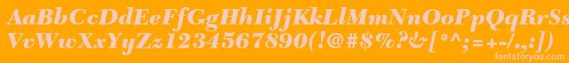 NewcaledonialtstdBlackit Font – Pink Fonts on Orange Background