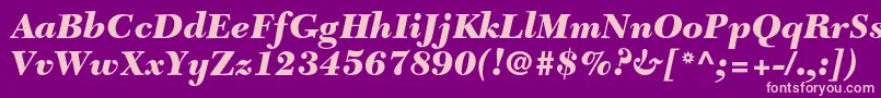 NewcaledonialtstdBlackit Font – Pink Fonts on Purple Background