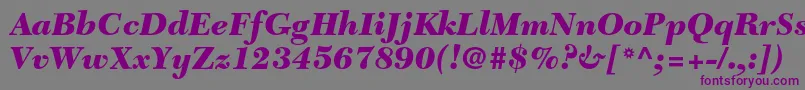 Czcionka NewcaledonialtstdBlackit – fioletowe czcionki na szarym tle