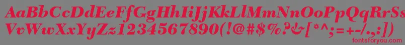 NewcaledonialtstdBlackit-fontti – punaiset fontit harmaalla taustalla