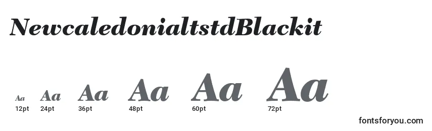 NewcaledonialtstdBlackit Font Sizes