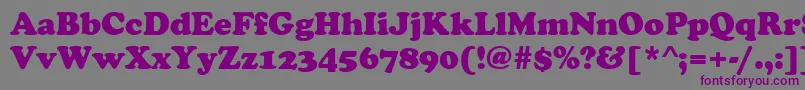 フォントCooperBlack – 紫色のフォント、灰色の背景