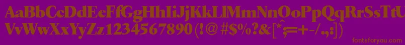 Q650RomanXboldRegular Font – Brown Fonts on Purple Background