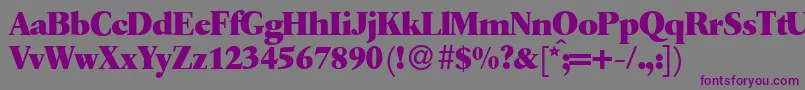 Q650RomanXboldRegular Font – Purple Fonts on Gray Background