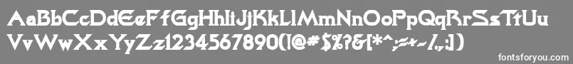 TrekkiesskBold Font – White Fonts on Gray Background