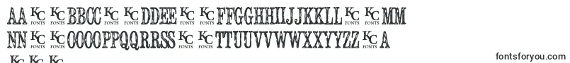 More about Serialpublicationdemo Font Serialpublicationdemo Font – Polish Fonts