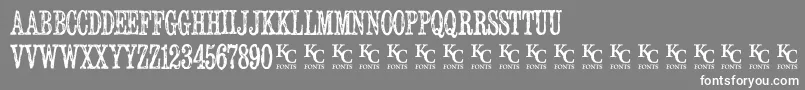 Serialpublicationdemo-fontti – valkoiset fontit harmaalla taustalla