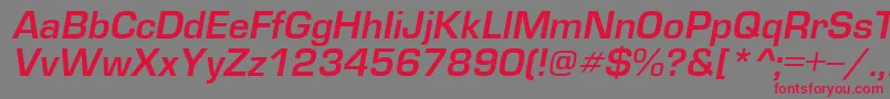 EuropedemiItalic Font – Red Fonts on Gray Background