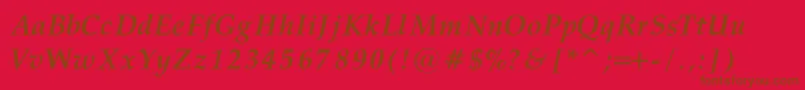 PalatinoBoldItalic Font – Brown Fonts on Red Background
