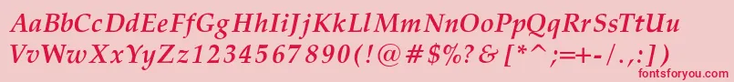 PalatinoBoldItalic Font – Red Fonts on Pink Background